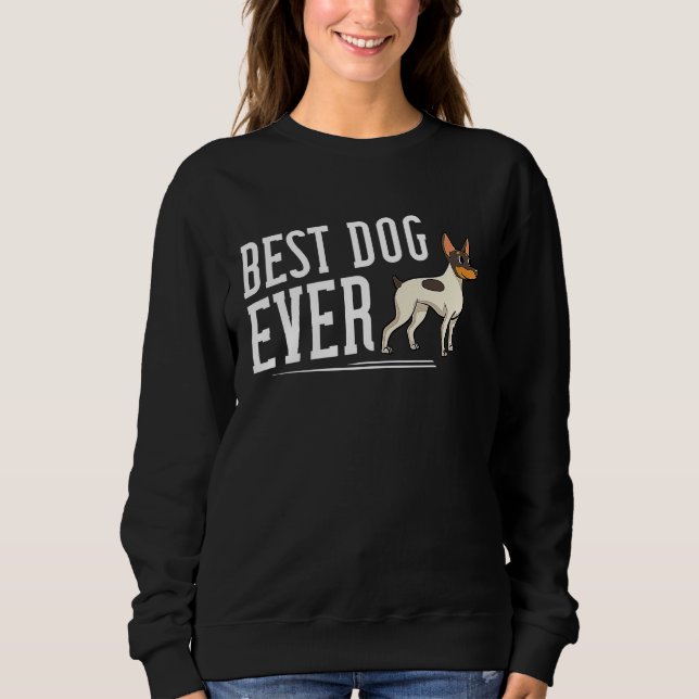 Toy Fox Terrier Dog Puppies Owner Sweatshirt (Front)