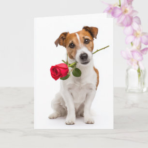 Toy Fox Terrier Valentine Card