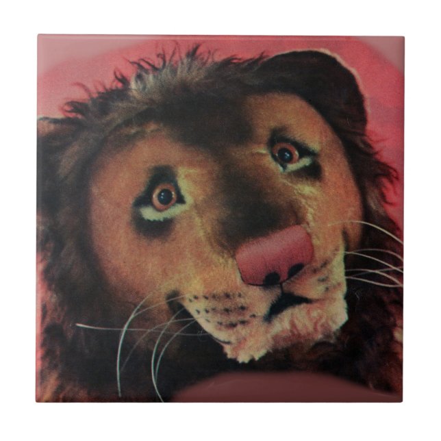 toy lion head tile (Front)