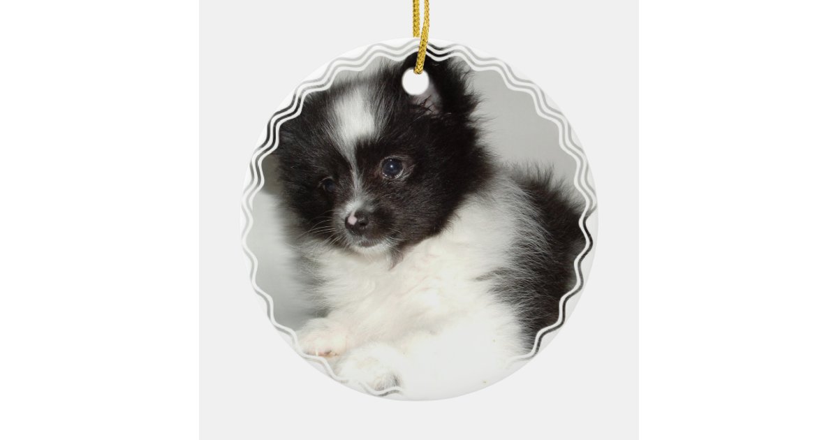 Toy Pomeranian Dog Ornament | Zazzle