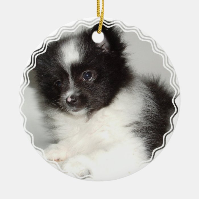 Toy Pomeranian Dog Ornament