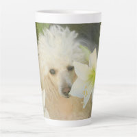 Toy poodle and Amaryllis latte mug