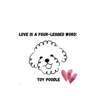 toy poodle bag