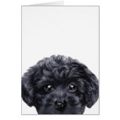 Toy poodle black, original deign by miart (Front)