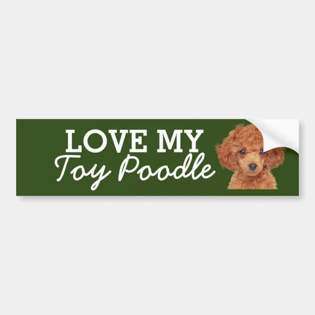 Toy Poodle bumper sticker (Front)