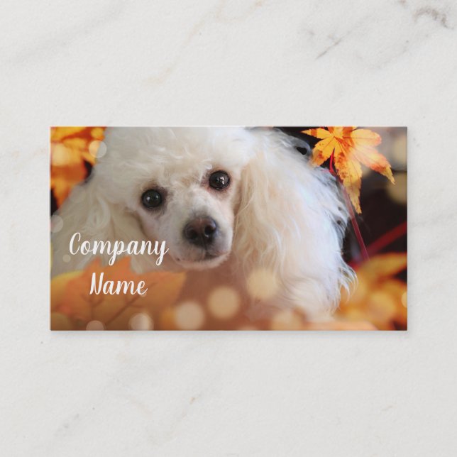 Toy Poodle Business Cards (Front)