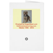 Toy Poodle Cards (Back)
