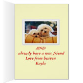 Toy Poodle Cards (Inside (Right))