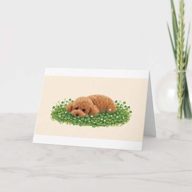 Toy Poodle Clover Patch Nap Greeting Card