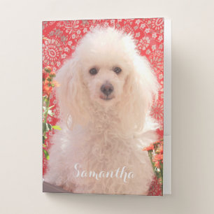Toy poodle document folder