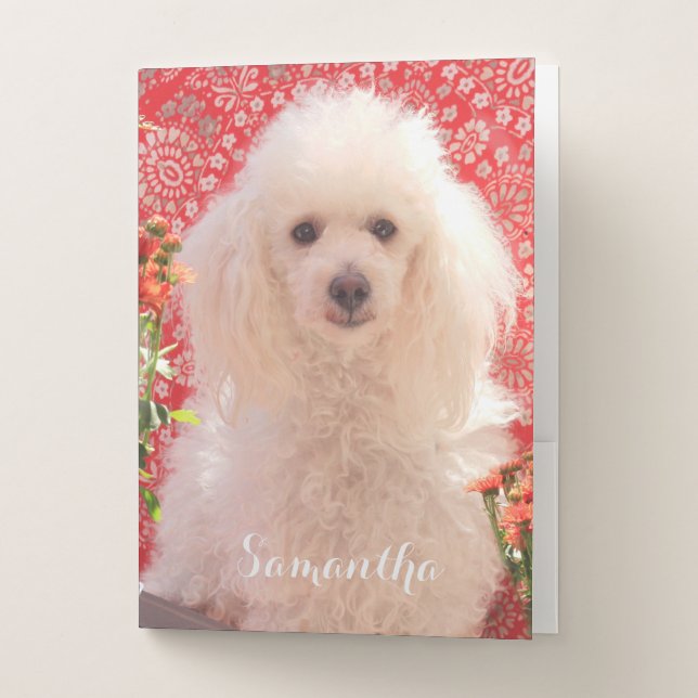 Toy poodle document folder (Front)