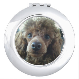 Toy Poodle Dog Compact Mirror