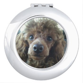 Toy Poodle Dog Compact Mirror by walkandbark at Zazzle