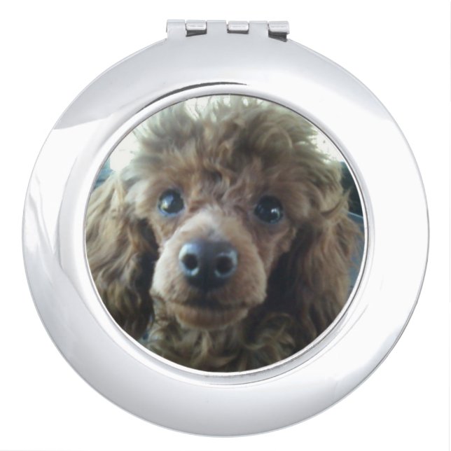 Toy Poodle Dog Compact Mirror (Front)