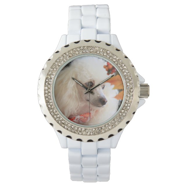 Toy poodle dog white Rhinestone Watch (Front)