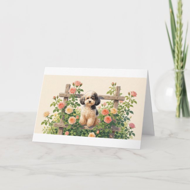 Toy Poodle Garden Trellis Roses Greeting Card