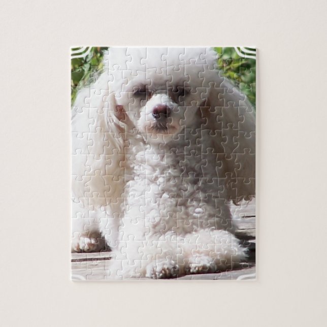 Toy Poodle Jigsaw Puzzle (Vertical)