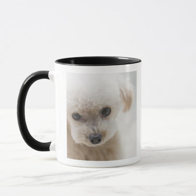 toy poodle mug (Left)