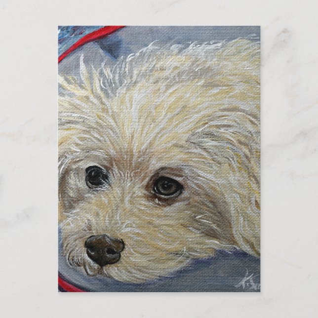 Toy Poodle Painting - Cece Postcard (Front)