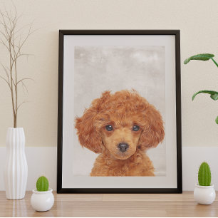 Toy Poodle Poster