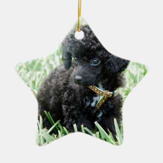 Toy Poodle Puppy Ceramic Ornament