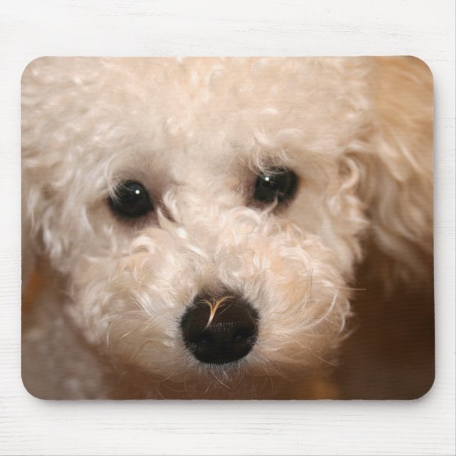 Toy Poodle Puppy Mousepad (Front)