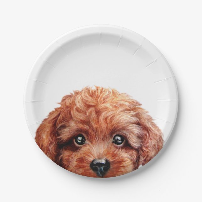 Toy poodle reddish brown original by miart paper plates (Front)