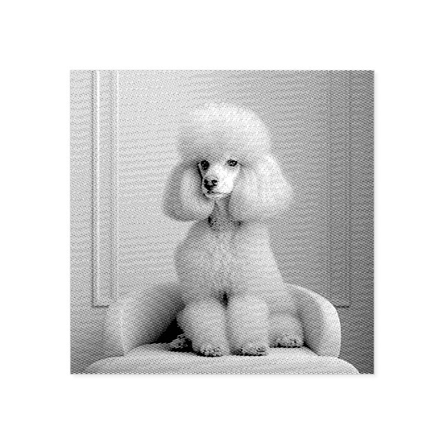 TOY POODLE RUBBER STAMP (Imprint)