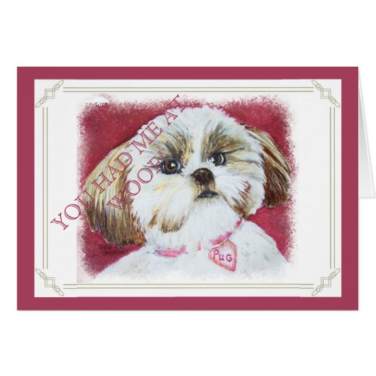 TOY SHIH TZU MIX CARDS (Front Horizontal)