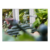 Toy soldiers (Front Horizontal)