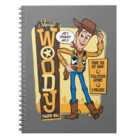 Toy Story 4 | Vintage Sheriff Woody Doll Ad