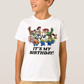 Toy Story Characters | It's My Birthday T-Shirt