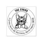 Toyger Cat Family Return Address