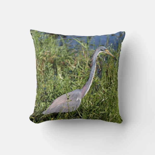Tr-Colored Heron Throw Pillow (Front)