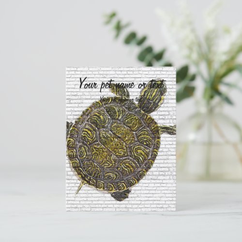 Trachemys scripta Red_eared slider Baby Postcard