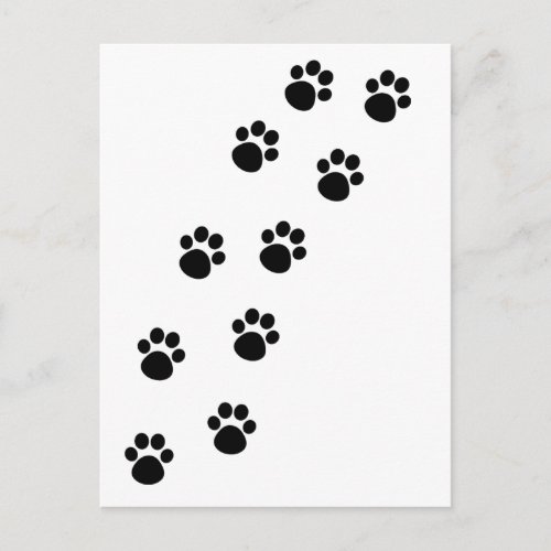 Track of Cat Paw Marks Postcard