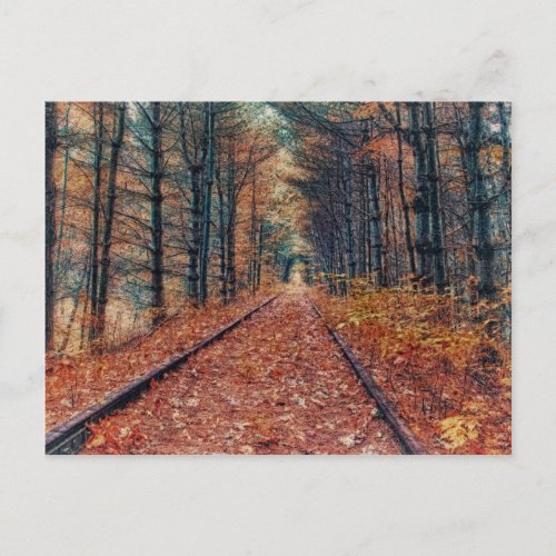 Track Through a Forest Postcard