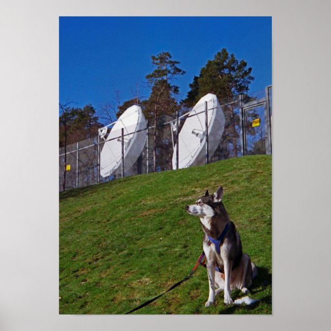 Tracker dog poster (Front)