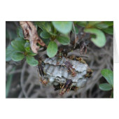 Tracker Jackers (Front Horizontal)