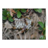 Tracker Jackers #2 (Front Horizontal)