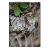 Tracker Jackers #2 (Front)