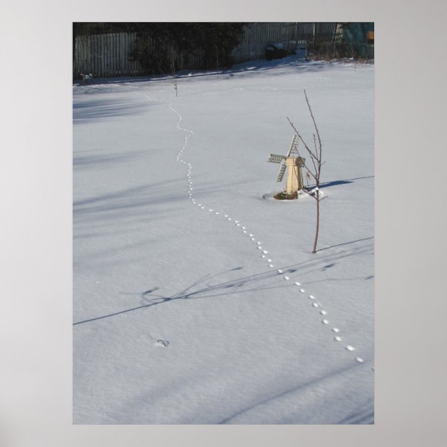Tracks in Snow ~ print (Front)