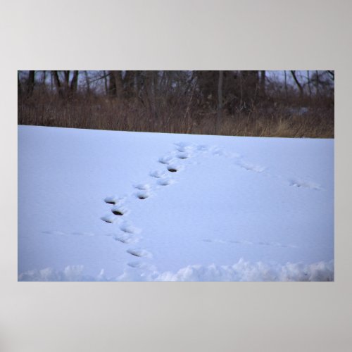 Tracks in the Snow Poster