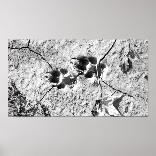 Tracks Poster (Front)