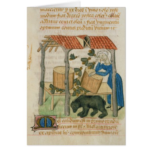 Tractatus de Herbis' Cards (Front)