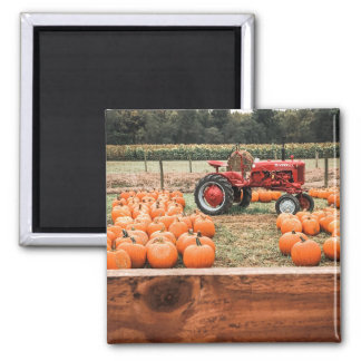 Tractor and Pumpkins Magnet