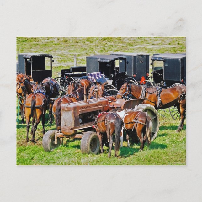 Tractor as Hitching Post Postcard (Front)