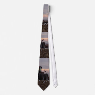 Tractor & Cattle Egrets Tie