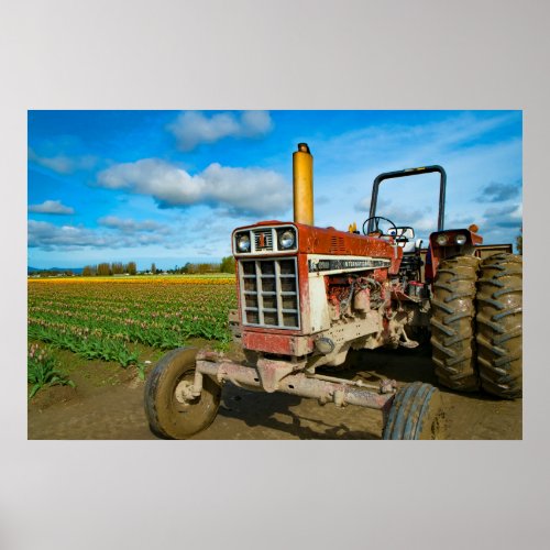 Tractor in the Tulip Fields Poster