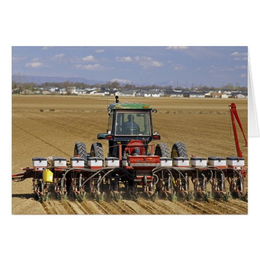 Tractor pulling a seed corn planter. cards (Front Horizontal)
